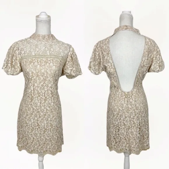 Adelyn Rae Kaia Sheath Dress Tan Lace Size Medium New