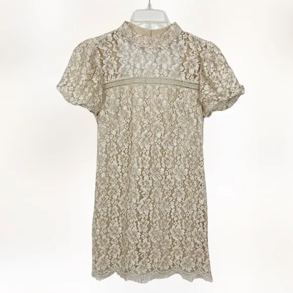 Adelyn Rae Kaia Sheath Dress Tan Lace Size Medium New