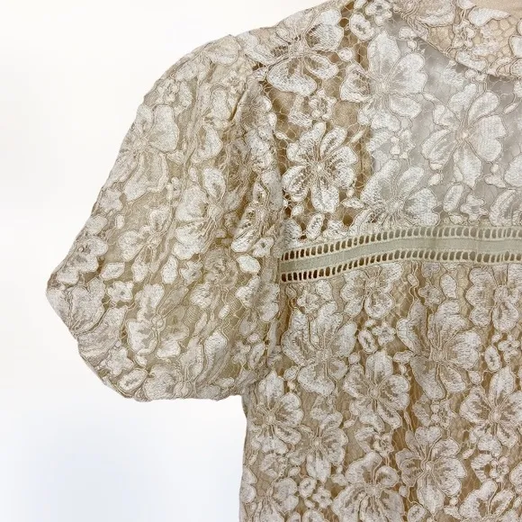 Adelyn Rae Kaia Sheath Dress Tan Lace Size Medium New