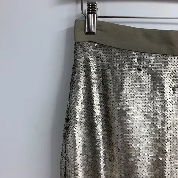 Banana Republic Women's Sequin Knee Length Pencil Skirt SIze 0 NWT