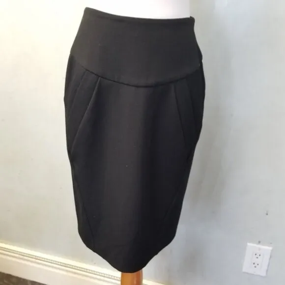 Baraschi pencil skirt women's size 2 (S12)