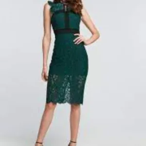 BARDOT Latoya Hunt Green Lace Sheath Midi Dress size US 8/M