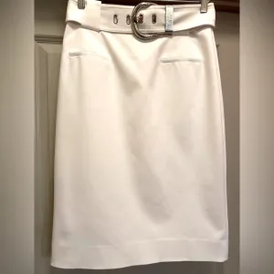 CARLISLE Ivory White Pencil Skirt size 2