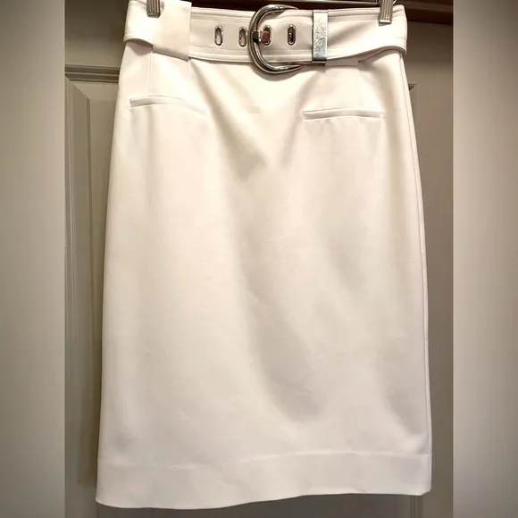 CARLISLE Ivory White Pencil Skirt size 2
