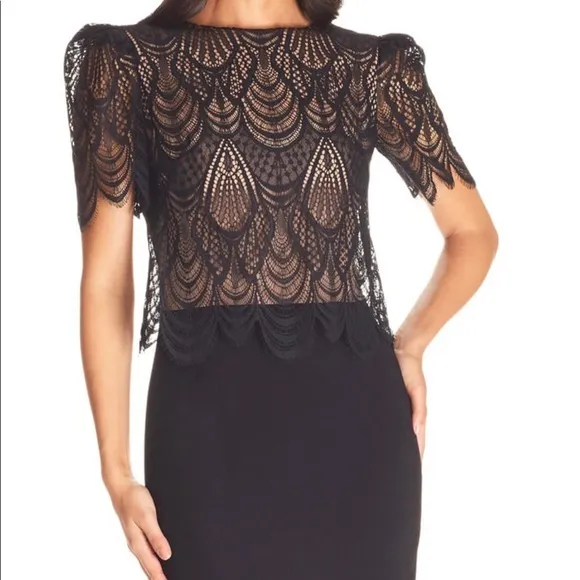 Dress Population Kenna Lace Popover Bodice Dress
