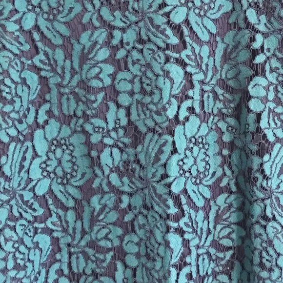 EUC Banana Republic Teal Navy Lace Pencil Skirt