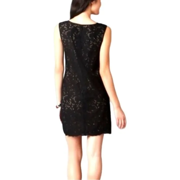 EUC Loft Eyelet Sheath Dress