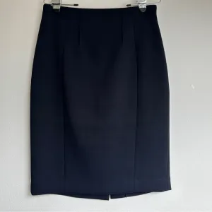 Iris Setlakwe Pencil Skirt Navy size 8