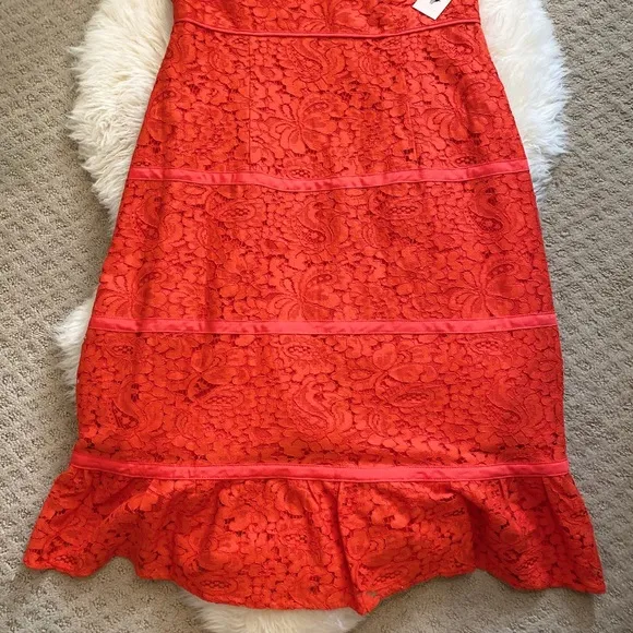 Nannette Lepore Lace Cap Sleeve Dress | 14