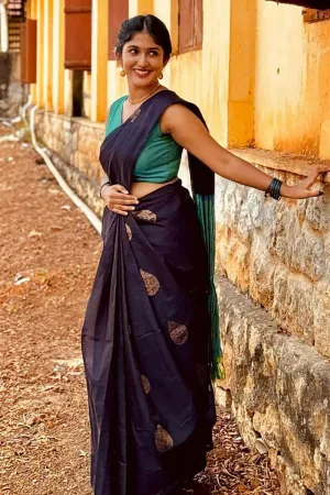 Navy Blue Silk Saree Weaving Work