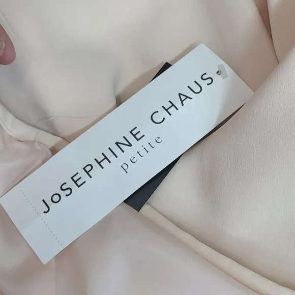 NWT JOSEPHINE CHAUS SKIRT