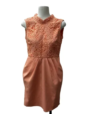 Pink Embroidered Sheath Dress