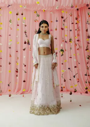 Pyaari
