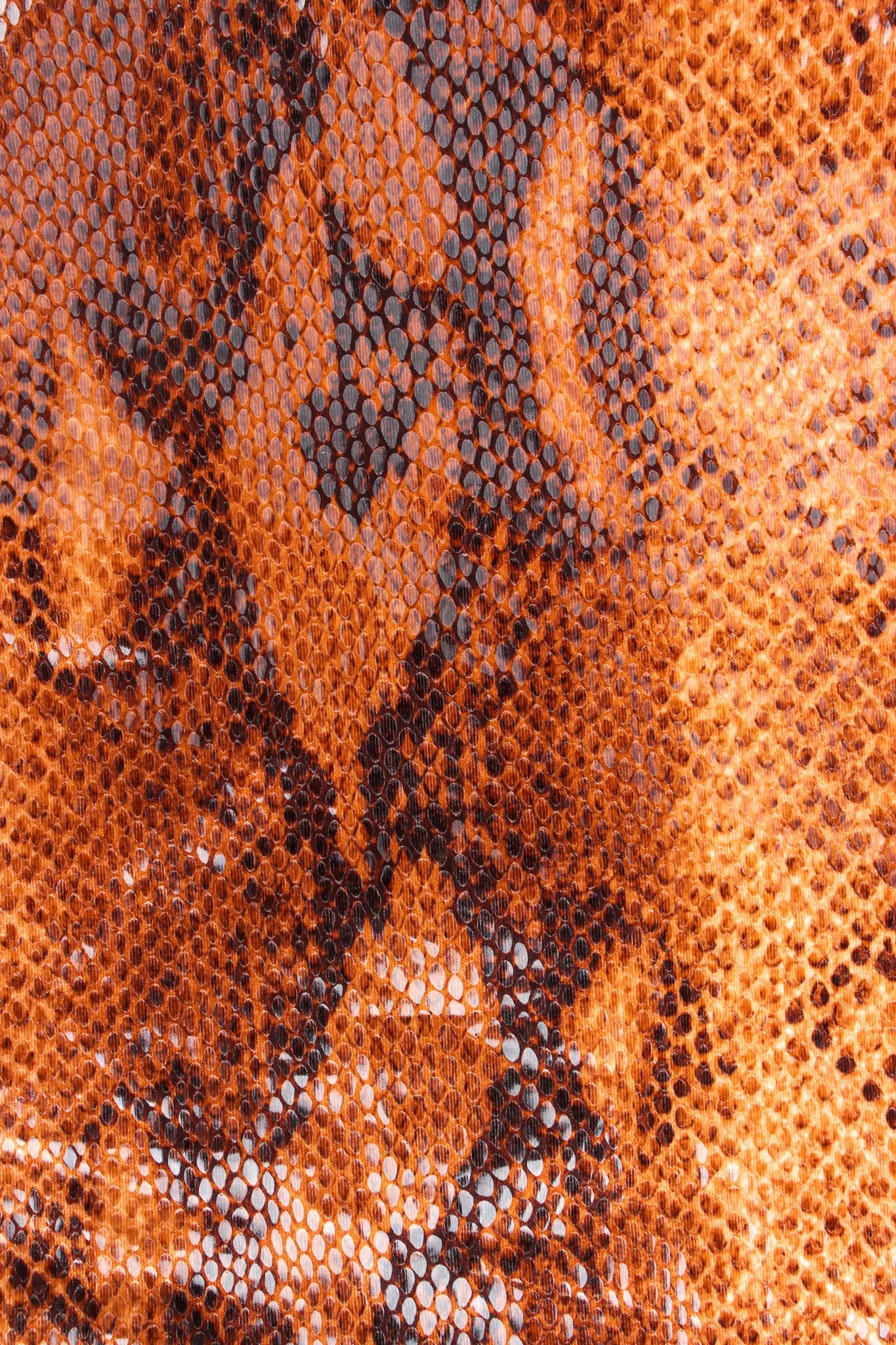 Python Snake Print Blouse