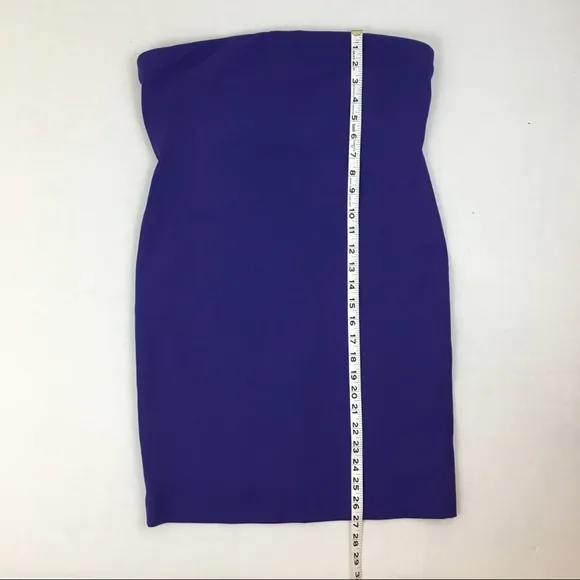 Robert Rodriguez Purple Strapless Tube Dress