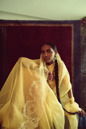 Sarang Kaur Windfields Mango Duet saree Organza silk Blouse piece Chanderi silk Chandni SK01262