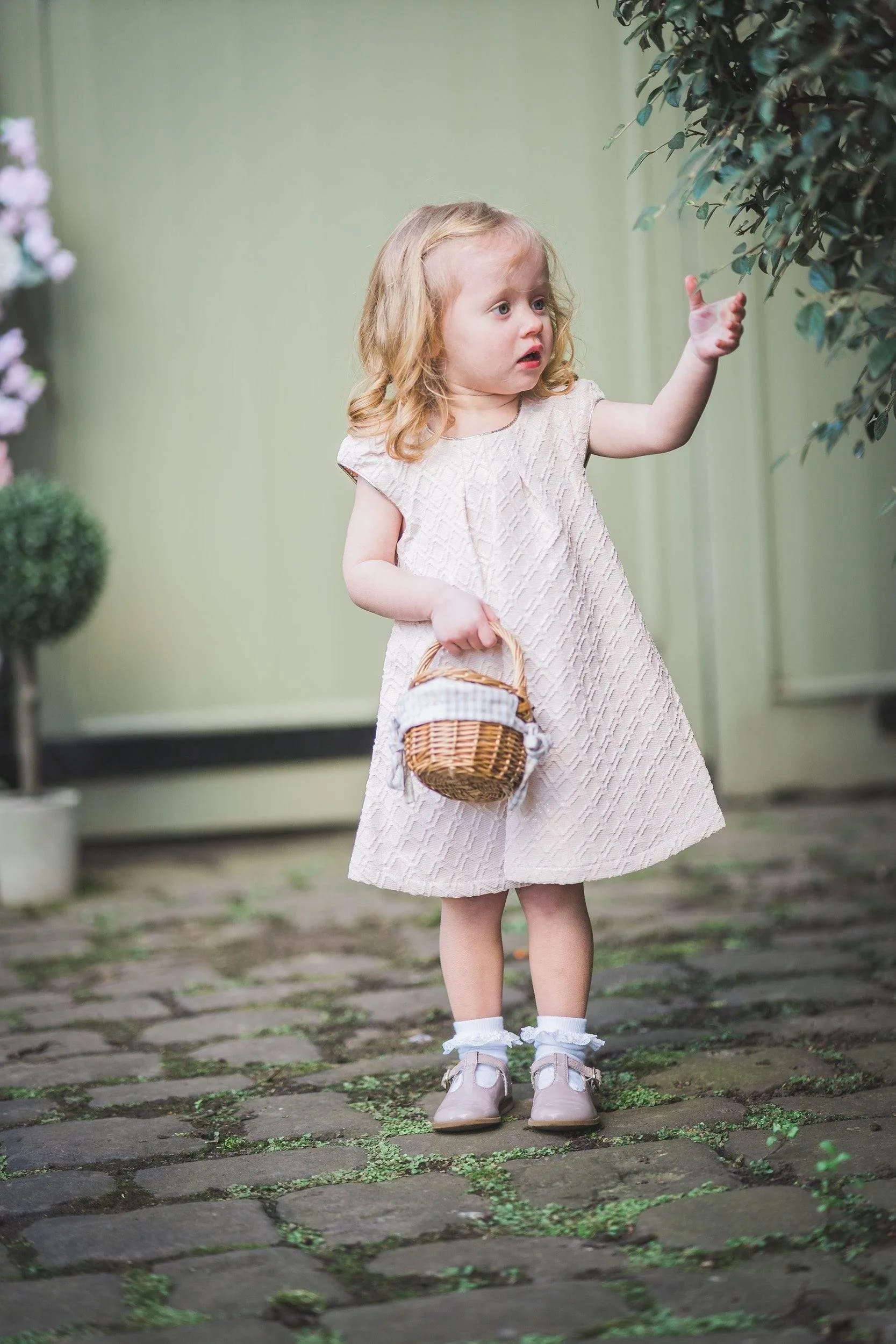 Sophie: Blush brocade A-line dress