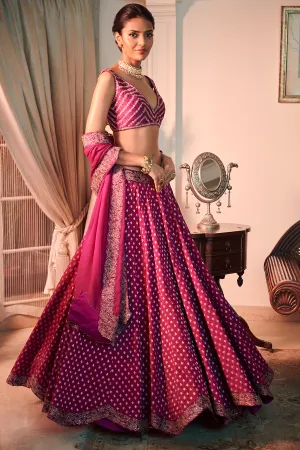 SUNEHRI Wine Lehenga Choli Set