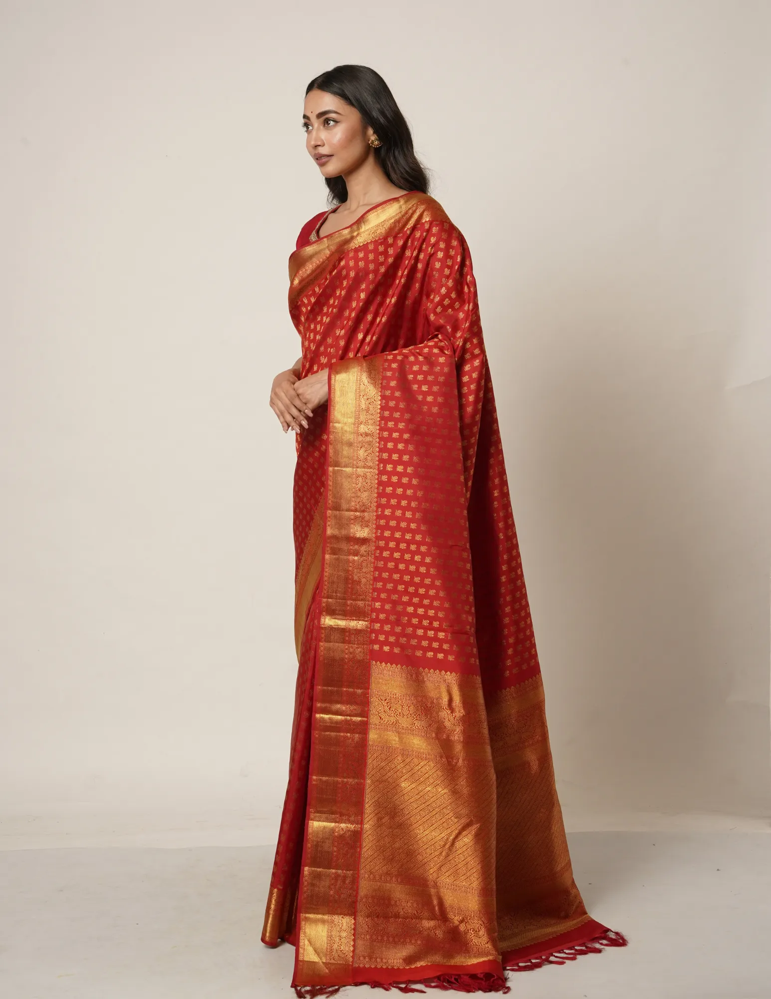 The Aishwarya Sari