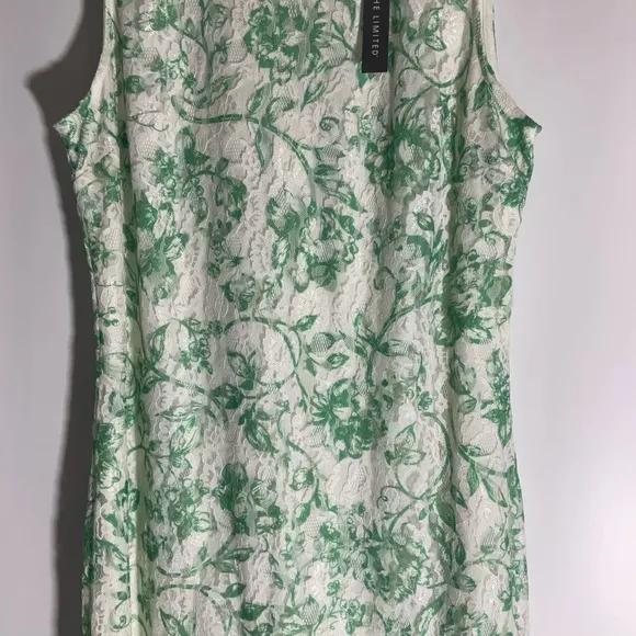 THE LIMITED Green Floral Lace Sleeveless Sheath Crew Neck Back Zip Dress Sz PM