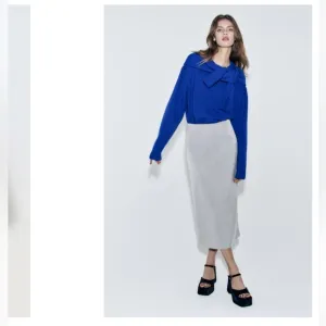 Zara Woman Shiny pencil skirt - limited edition